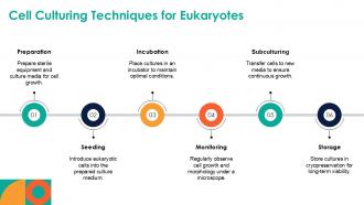 Cell Culturing Techniques For Eukaryotes Eukaryotic Prokaryotic PPT Template ACP