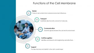 Cell Membrane Medical Overview PPT PowerPoint AT Attractive Informative