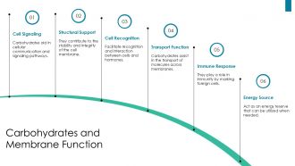 Cell Membrane Medical Overview PPT PowerPoint AT Engaging Informative