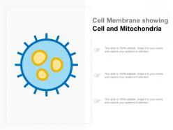 Cell membrane showing cell and mitochondria