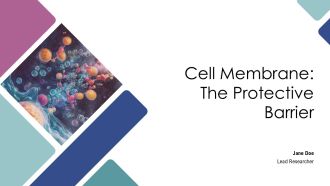 Cell Membrane The Protective Barrier PPT Information AT