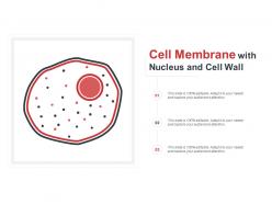 Cell membrane with nucleus and cell wall
