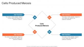 Cells Produced Meiosis In Powerpoint And Google Slides Cpb