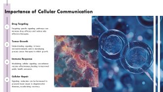 Cellular Communication And Signaling Molecules Function PPT PowerPoint AT Researched Compatible