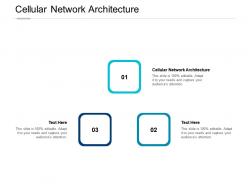 Cellular network architecture ppt powerpoint presentation infographic template icons cpb