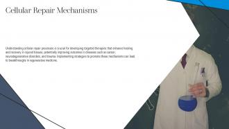 Cellular Repair Mechanisms Biological Damage PPT Template ST AI SS