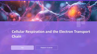 Cellular Respiration And The Electron Transport Chain PPT Guidelines AT