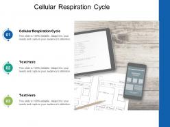Cellular respiration cycle ppt powerpoint presentation model designs download cpb