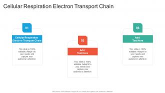 Cellular Respiration Electron Transport Chain In Powerpoint And Google Slides Cpb