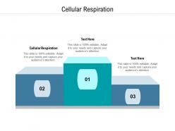 Cellular respiration ppt powerpoint presentation outline summary cpb