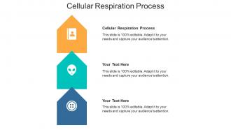 Cellular respiration process ppt powerpoint presentation infographic clipart cpb