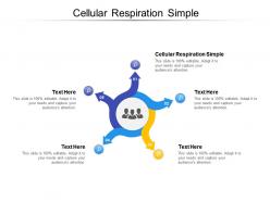 Cellular respiration simple ppt powerpoint presentation ideas example file cpb
