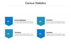 Census statistics ppt powerpoint presentation portfolio graphics cpb
