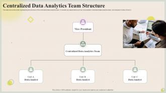 Centralized Data Analytics Team Structure