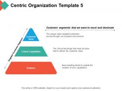 Centric organization customer segments that we want to excel and dominate