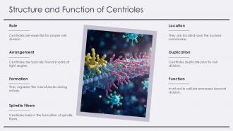 Centrioles Nuclear Membrane PPT Guidelines ACP Editable Graphical