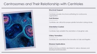 Centrioles Nuclear Membrane PPT Guidelines ACP Researched Graphical