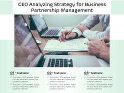 Ceo analyzing strategy for business partnership management