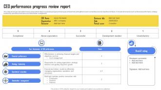 CEO Performance Progress Review Report