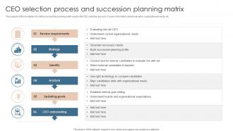 CEO Selection Process And Succession Planning Matrix