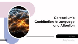 Cerebellums Contribution To Language And Attention PPT Example AT