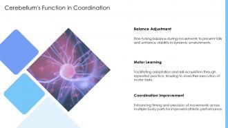Cerebellums Function In Coordination Neuroscience PPT Graphics ACP