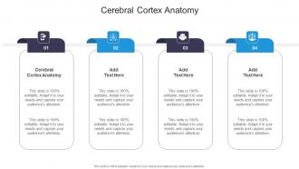 Cerebral Cortex Anatomy In Powerpoint And Google Slides Cpb