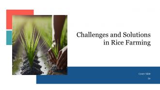 Challenges And Solutions In Rice Farming PPT Template AT