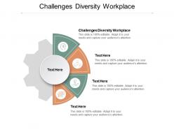 Challenges diversity workplace ppt powerpoint presentation professional graphics example cpb