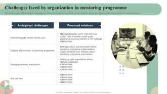 Challenges Faced By Organization In Mentoring Mentoring Plan For Employee Growth And Development