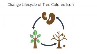 Change Lifecycle Of Tree Colored Icon In Powerpoint Pptx Png And Editable Eps Format