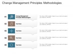 Change management principles methodologies ppt powerpoint presentation model samples cpb