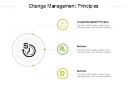 Change management principles ppt powerpoint presentation model example cpb