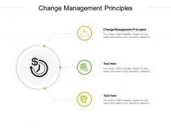 Change management principles ppt powerpoint presentation pictures mockup cpb