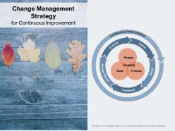 Change management strategy for continuous improvement
