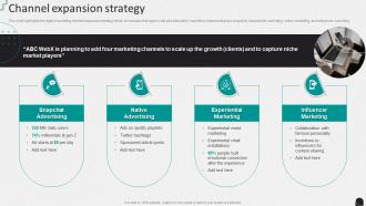 Channel Expansion Strategy Internet Marketing Company Profile Ppt Portrait