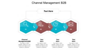 Channel management b2b ppt powerpoint presentation pictures samples cpb