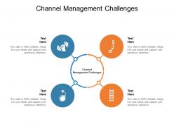 Channel management challenges ppt powerpoint presentation portfolio cpb
