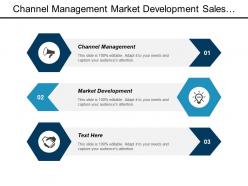 Channel management market development sales incentive management sales strategy cpb