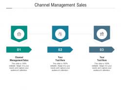 Channel management sales ppt powerpoint presentation icon example cpb