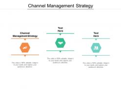 Channel management strategy ppt powerpoint presentation slides aids cpb