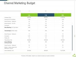 Channel marketing budget company expansion through organic growth ppt background