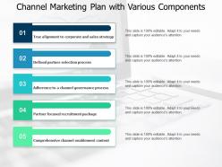 Channel marketing plan with various components