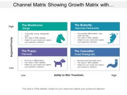 Channel matrix showing growth matrix with channel partner