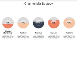 Channel mix strategy ppt powerpoint presentation file brochure cpb