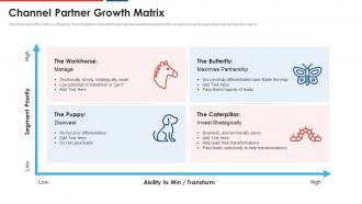 Channel partner growth matrix build a dynamic partnership