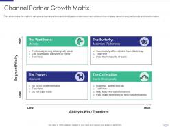 Channel Partner Growth Matrix Managing Strategic Partnerships