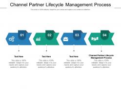 Channel partner lifecycle management process ppt powerpoint presentation professional examples cpb
