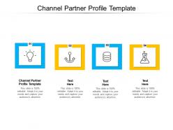 Channel partner profile template ppt powerpoint presentation gallery visuals cpb