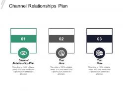 Channel relationships plan ppt powerpoint presentation infographics brochure cpb